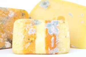 Mai più formaggio ammuffito in frigo: il segreto per conservarlo in modo perfetto.